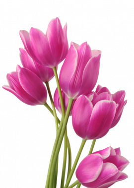 Онлайн-заходи з нагоди Дня матері