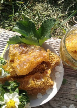 Рубрика про пасічників