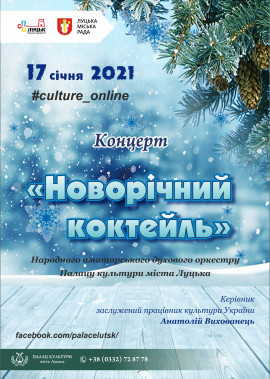 "Новорічний коктейль" концерт народного аматорського духового оркестру