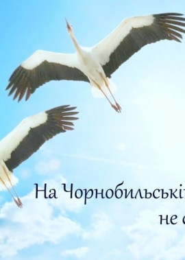 Година пам'яті "На Чорнобильській землі не сідають журавлі"